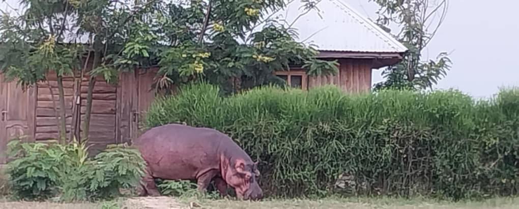 Tembo Safari Lodge Katunguru Экстерьер фото